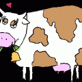 eating-cow