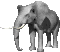 elephant.gif